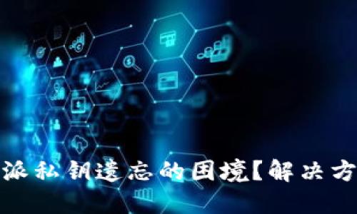 如何应对比特派私钥遗忘的困境？解决方案与预防措施